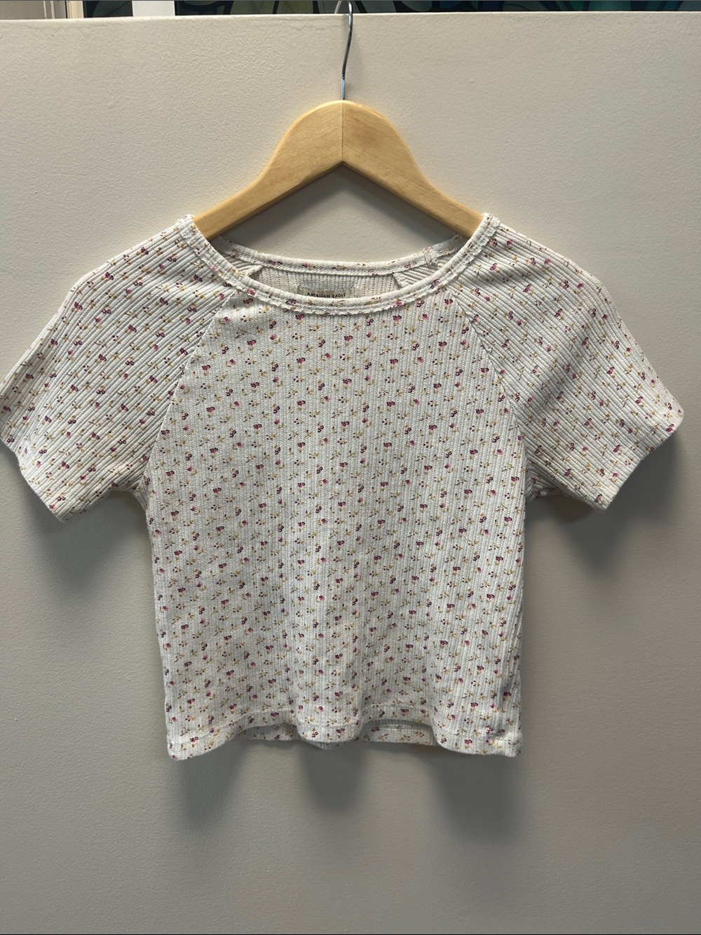 American Eagle Crooped Girlhoodcore Cream Floral Ribbed Short Sleeve Tee